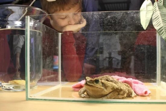    Фото: Кирилл Искольдский