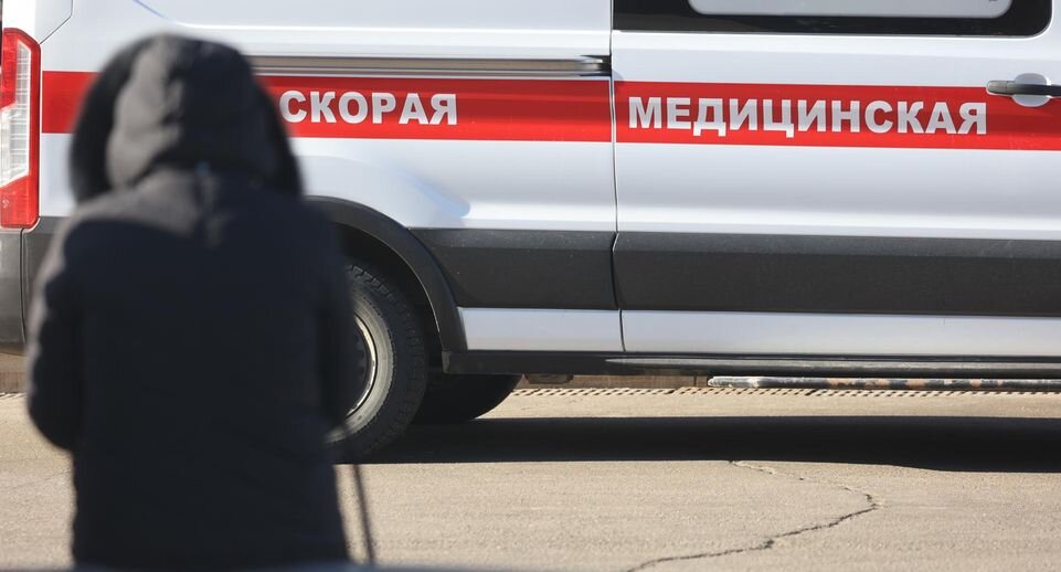    Alexey Belkin/Business Online/globallookpress