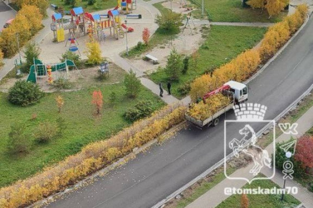    Томские власти ищут участок для строительства больницы в Зеленых горках