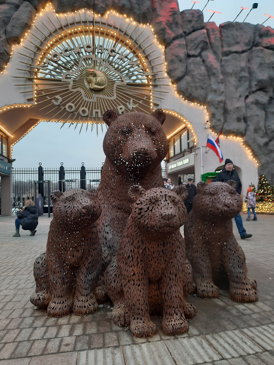 Все фото в статье автора