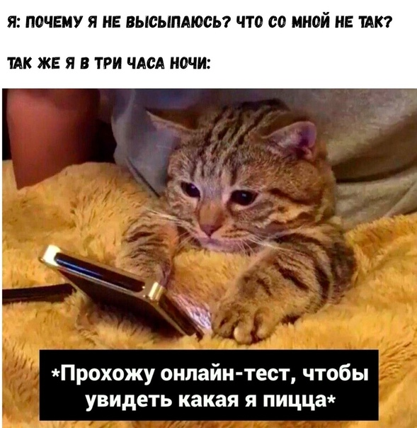 Стихи светлане о любви. Может быть и ты. Может быть проблема в тебе?. Цените то что есть цитаты. Цените сейчас.