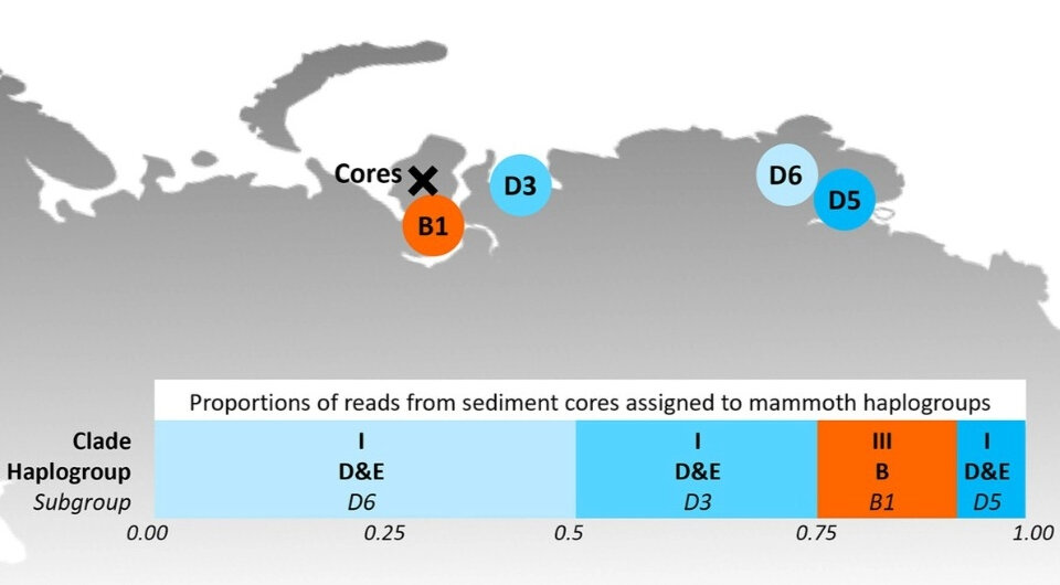   Peter Seeber et al. / eLife, 2024
