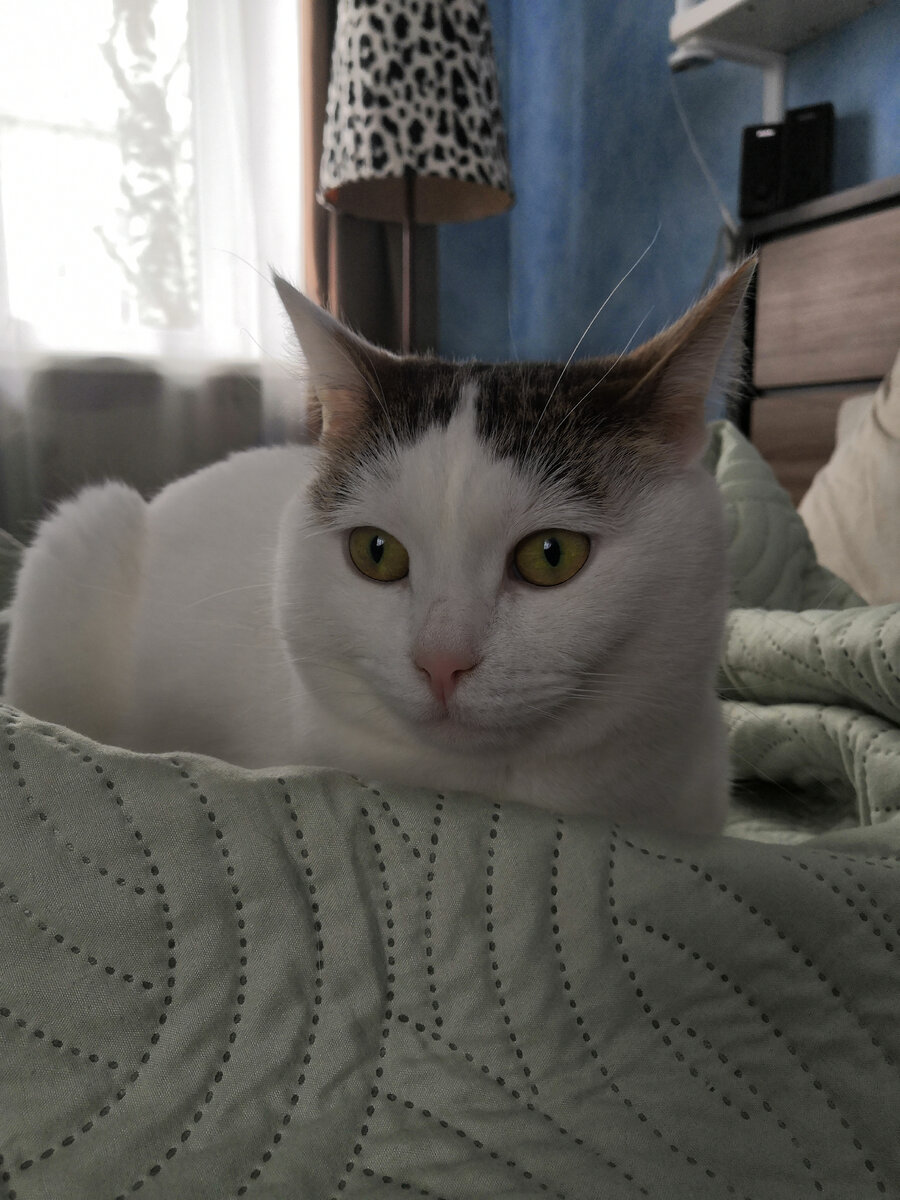 Это она сейчас, для меня красотка, а ниже фото с первой встречи