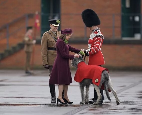 Леди Гика, жена генерал-майора сэра Кристофера Гики, заменила принцессу Уэльскую на параде в честь Святого Патрика. Фотография из открытого источника. 