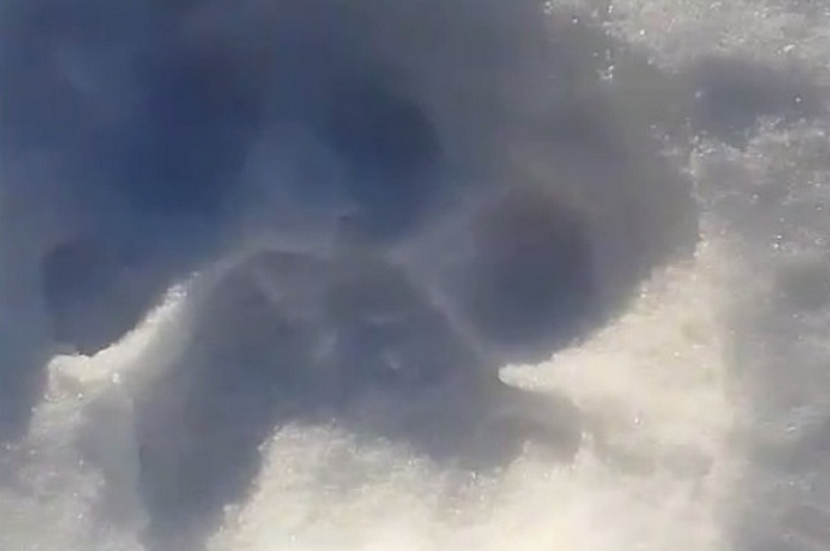    Тигр убил двух лошадей в окрестностях приморского села Яконовка