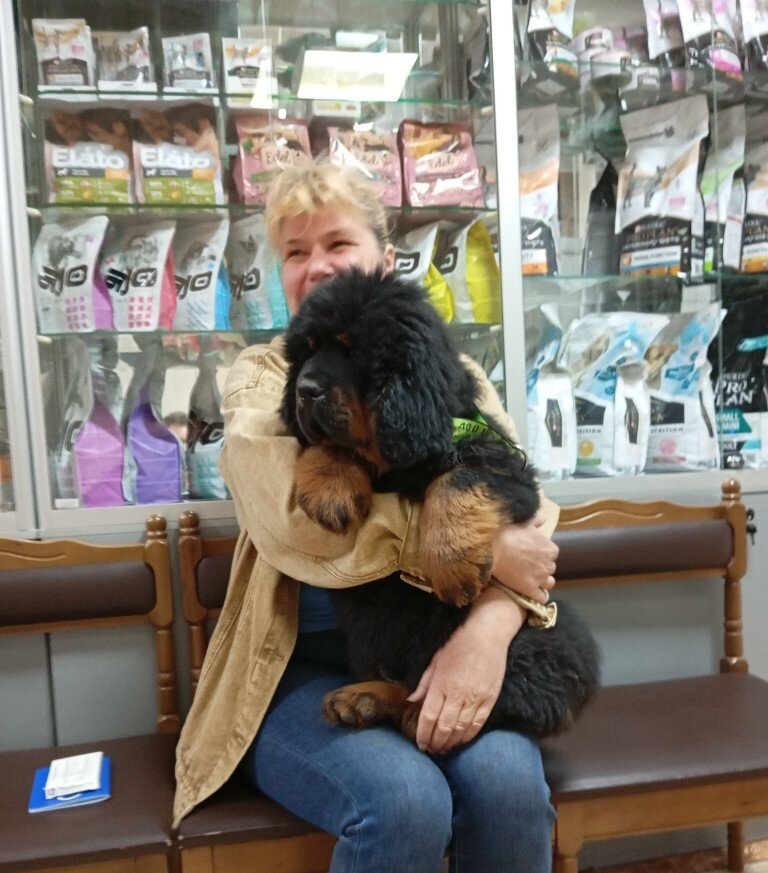 Ветеринары бывают разные