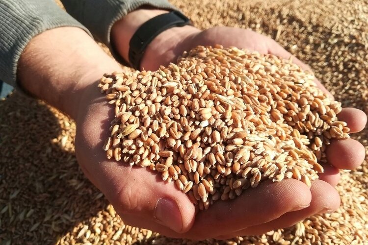 Фото из открытых источников.