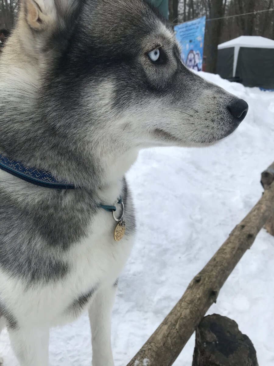 Фото сделано на соревнованиях. 