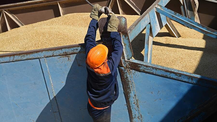Фото: ТАСС/Дмитрий Дадонкин