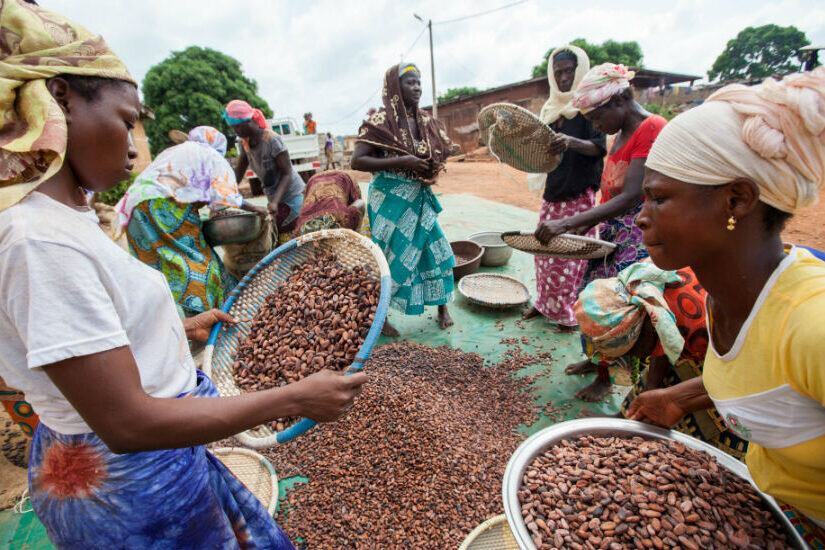 Фото Fairtrade International