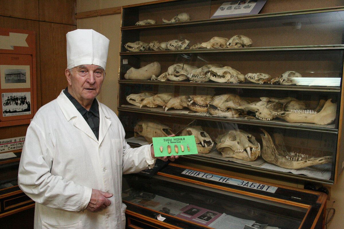 В Музее Стоматологии