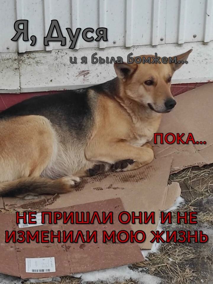 Дуся бомжевала на картонке