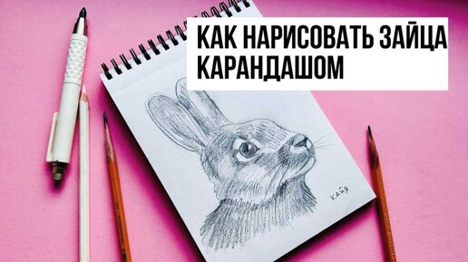 Как нарисовать кролика или милого зайчика на Новый год? Лёгкая пошаговая инструкция