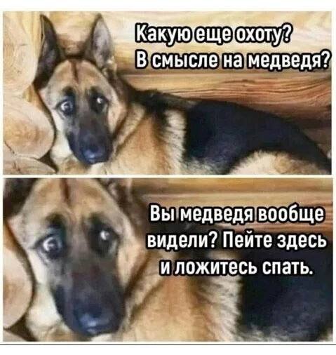 Картинку родственник вчера прислал. В тему оказалась. 