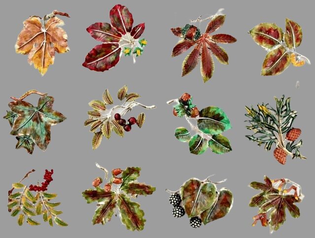 12 брошей из коллекции Leaf из линейки Exquisite от WAP Watson