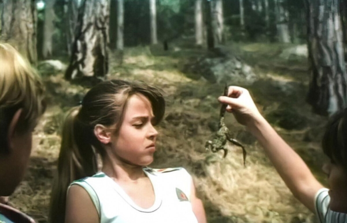 Кадр из фильма «До первой крови» 1989 год