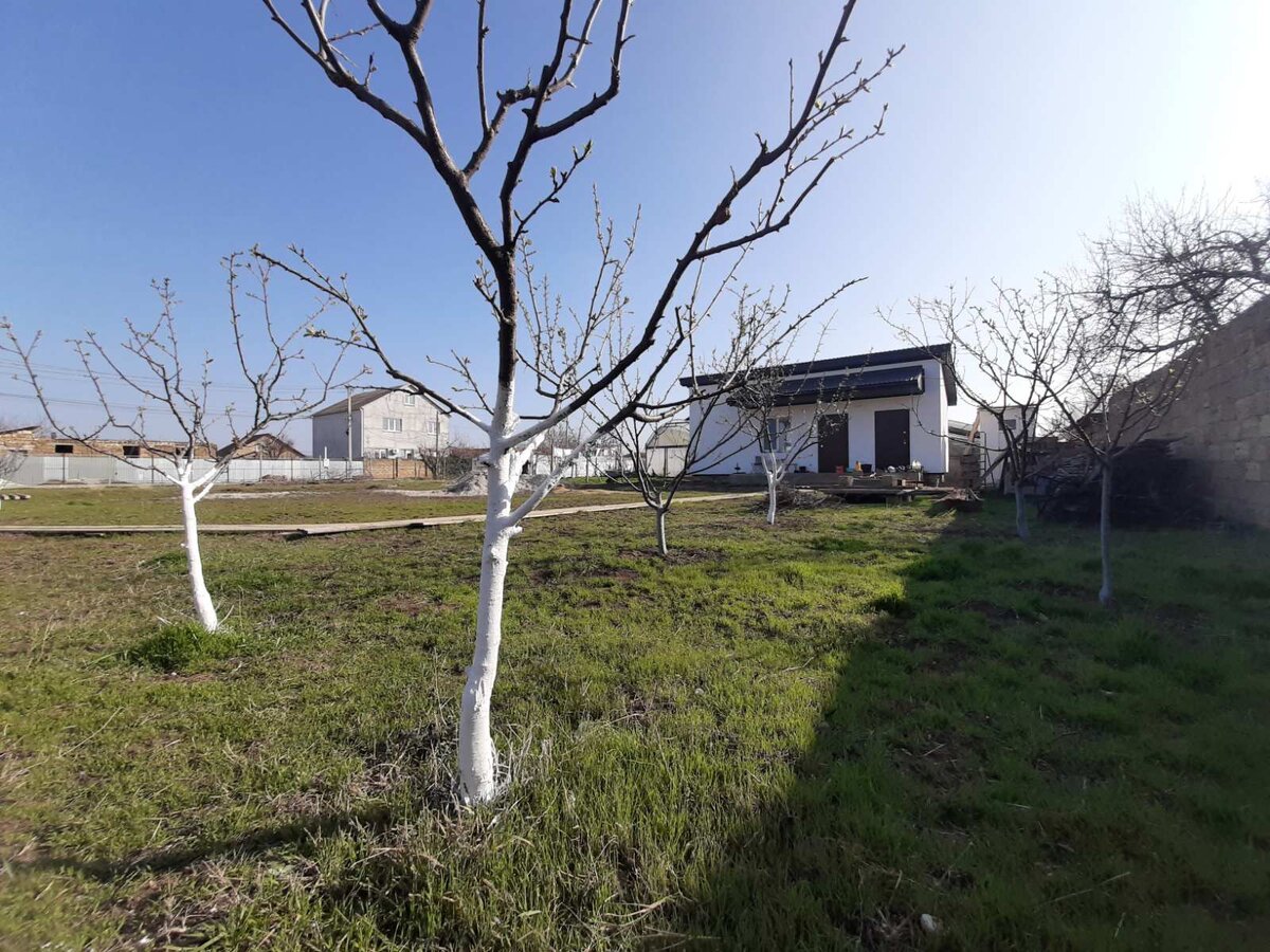 Слева вдалеке одна дорога проходит.