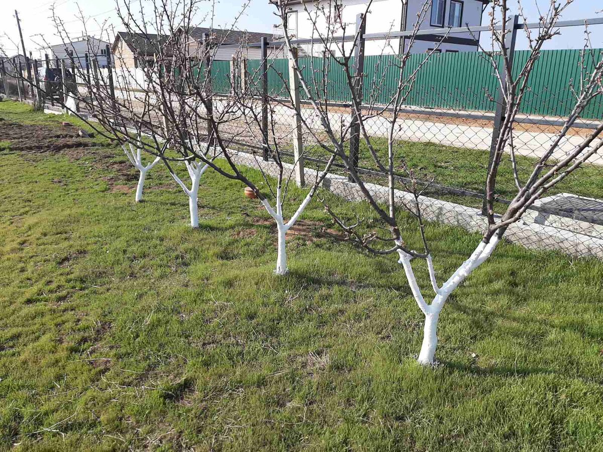 А это сторона напротив домика, здесь ещё одна дорога.