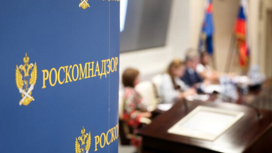    РКН заблокировал почти 5 тыс. экстремистских материалов в предвыборный период Алина Городниченко