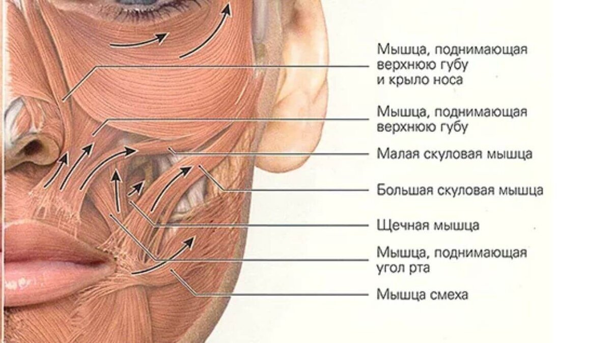 Мы часто слышим от ребенка: "Я не могу надуть шарик". Психологический барьер - одна из причин, на это влияет неудачная попытка, насмешки старших сестер и братьев, сверстников...-2