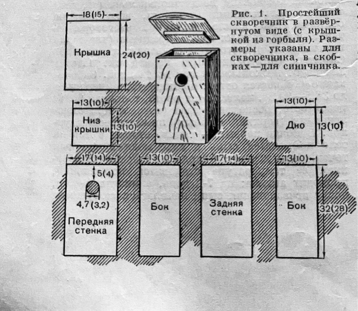 Размеры скворечника и синичника указаны на рисунке.