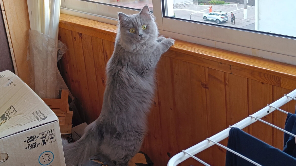 Надо все изучить!