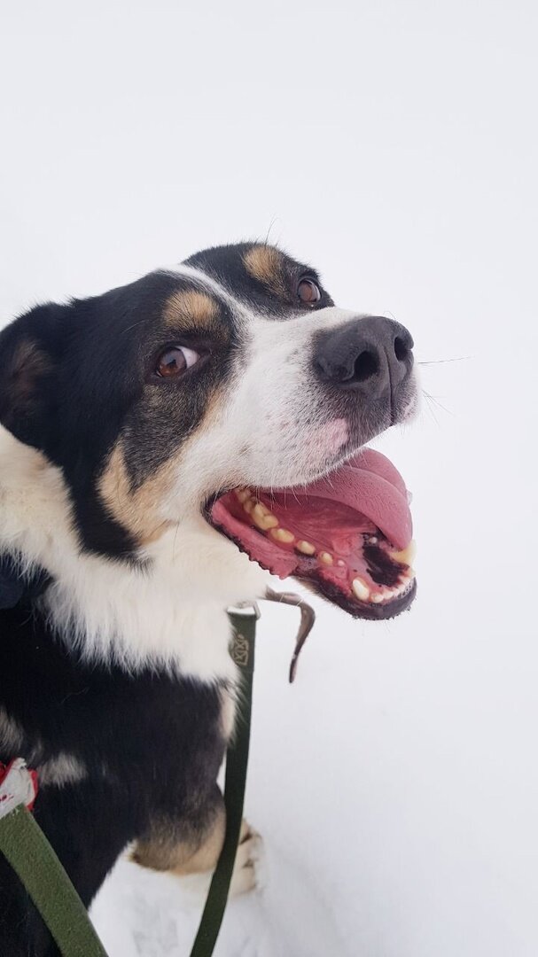 Айда на треню!