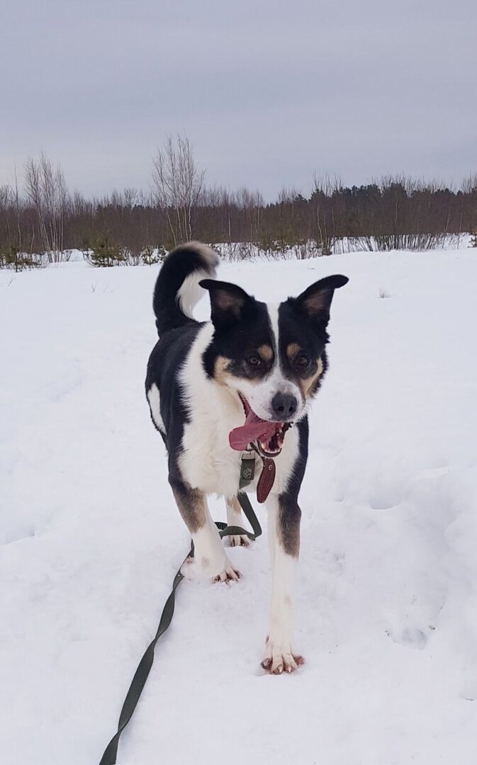 Движение - это радость и здоровье!