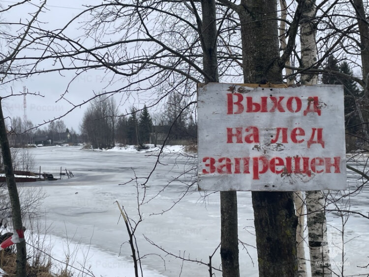    Фото: Пресс-служба МЧС России