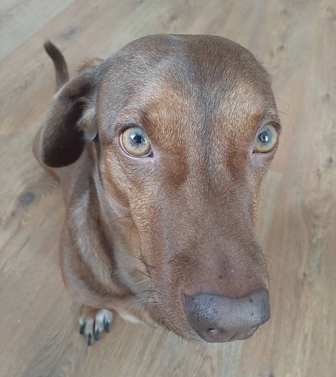 Чарли ждет когда мы все вернемся.