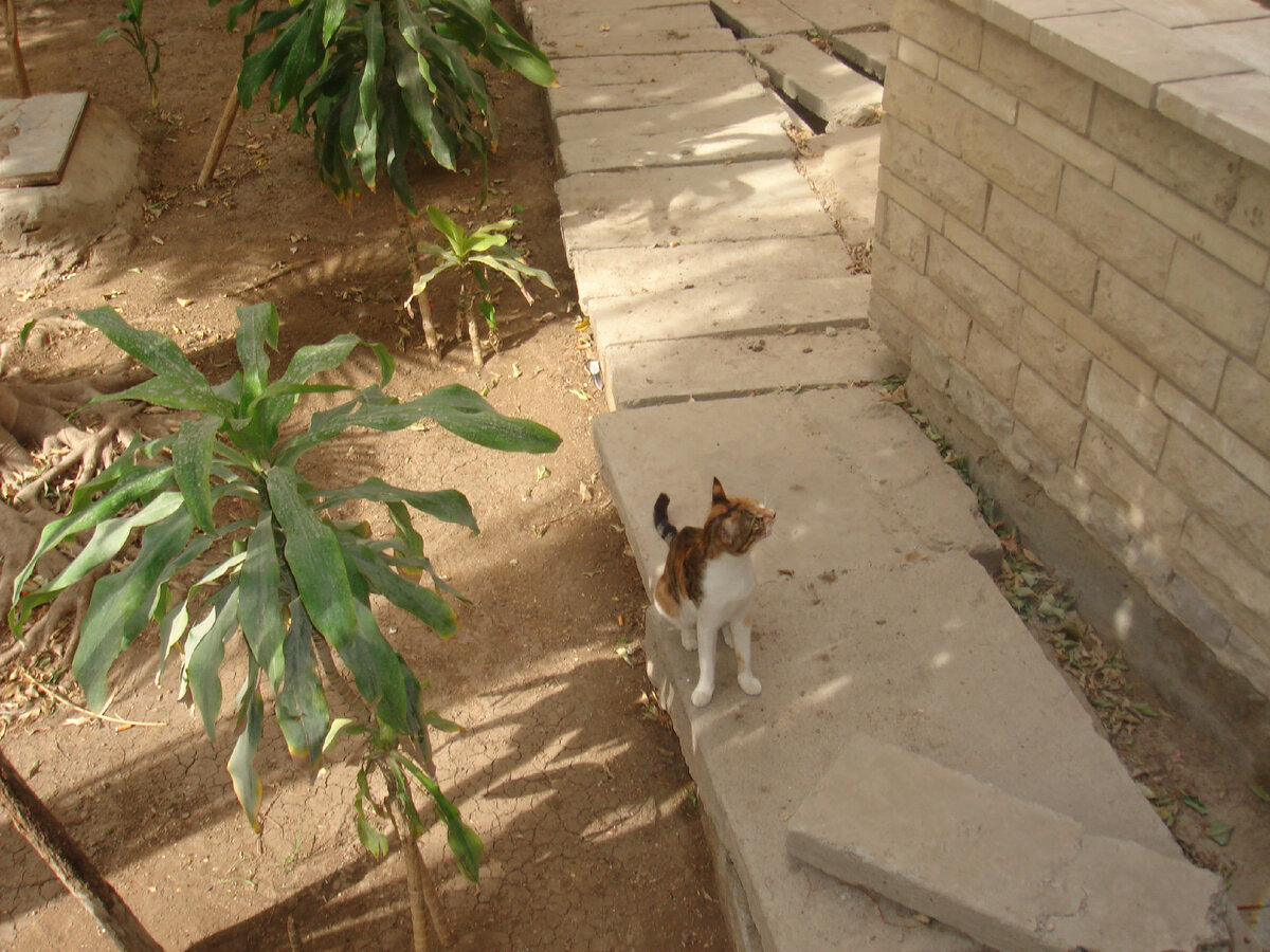 и такие встречи