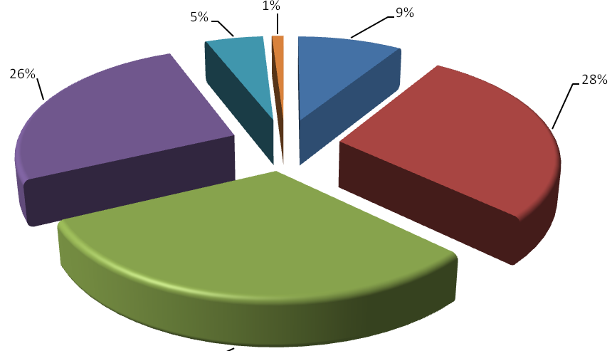 Мне кажется, примерно так выглядит соотношение используемых в классе подходов и технологий.  У каждого учителя свой набор.