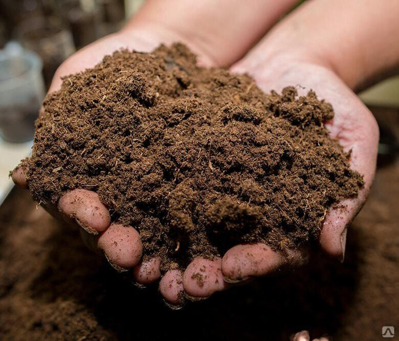 Торф рыжий, верховой. Фото из интернета.