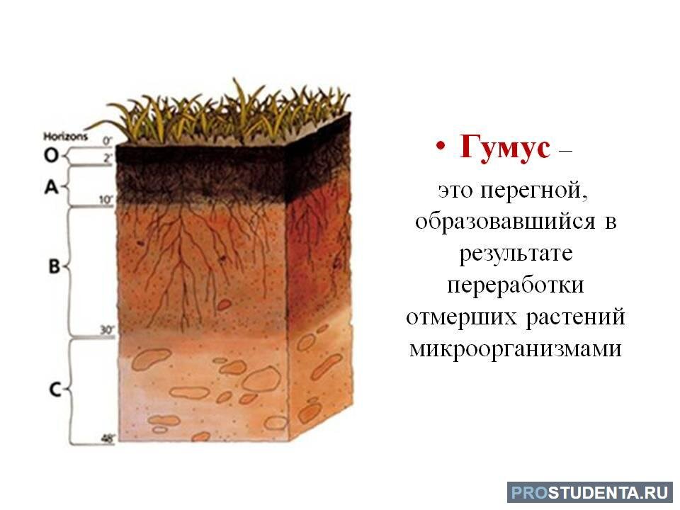 Фото с сайта prstudenta.ru