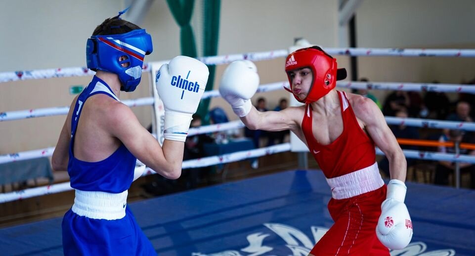    фото: СШОР по боксу Московской области