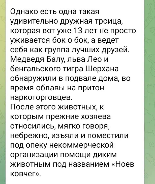 О дружбе трех зверей.Из интернета.