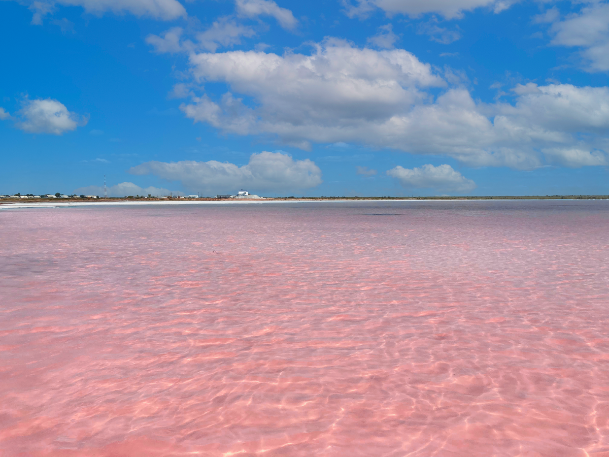 Летом сюда приезжают за красивыми кадрами на фоне изумительно цвета озера. Оттенок может быть и ярко-розовый, и бледно-лососевый, и малиновый в зависимости от плотности содержания микроскопической красной водоросли.