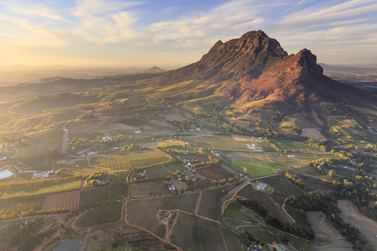 Devon Valley (долина Девон) - винодельческий регион в округе Stellenbosch, ЮАР. Фото с сайта wosa.co.za