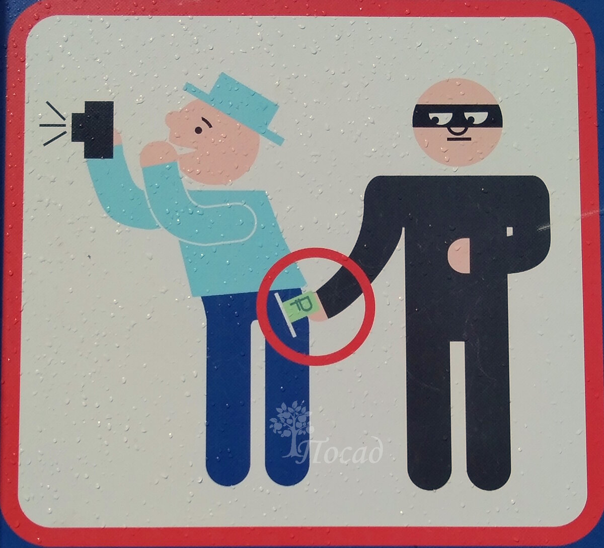 Эту забавную и запоминающуюся картинку я увидела в парке Петергофа. Только что прошёл лёгкий летний дождичек, поэтому плакат покрыт водяными "пупырышками".