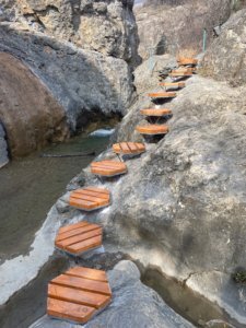    Фото: Судакское лесоохотничье хозяйство