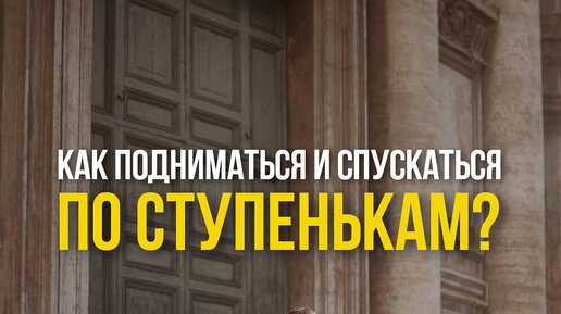 Как правильно подниматься и спускаться по ступенькам?