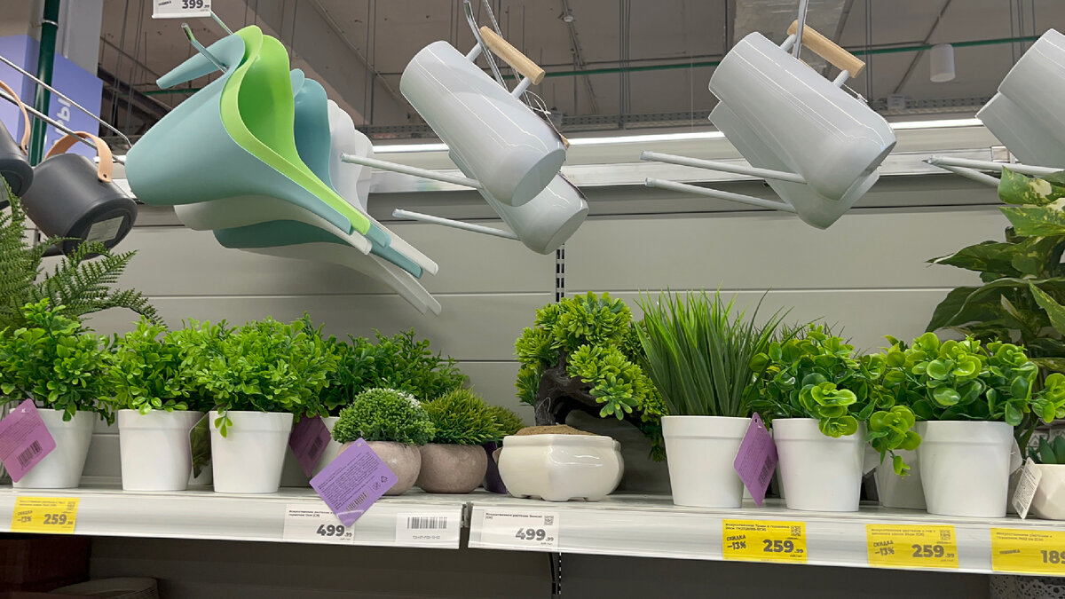 Летом он везде. Лето. Назойливый человек мем. Летом он везде. Мемы про назойливых.