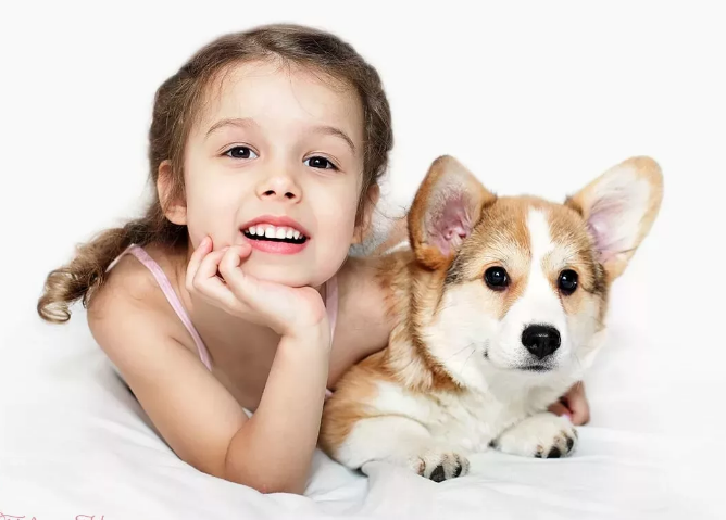 Фото детей с собаками в инете полно. Все СЧАСТЛИВЫ...