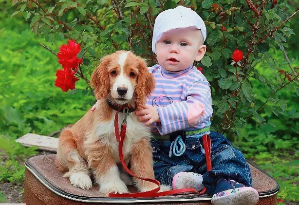 Даже малыши умеют ЛЮБИТЬ собак...