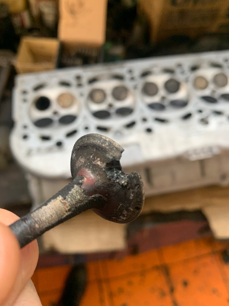 Вот сам виновник