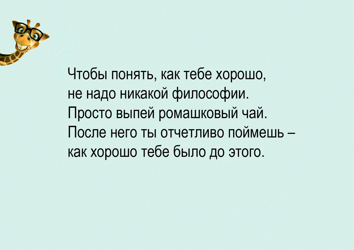 Изображение и текст автора