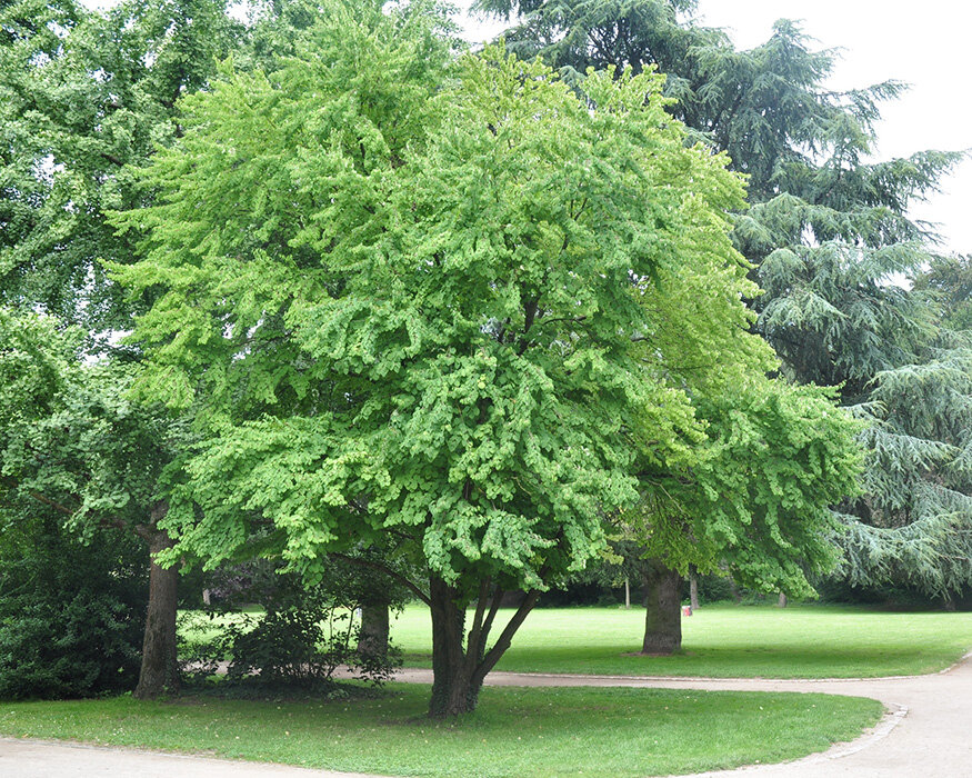 Летнее время