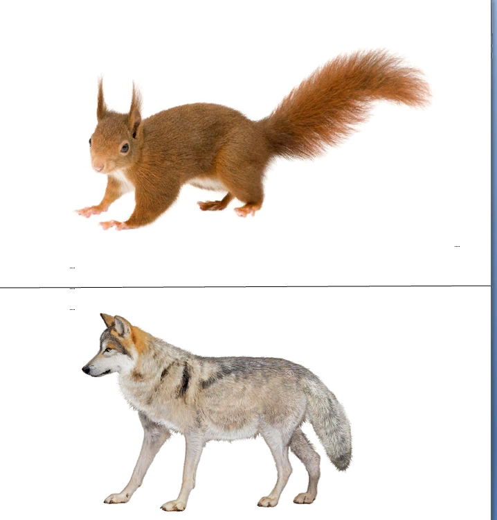 Пример картинок для пособий