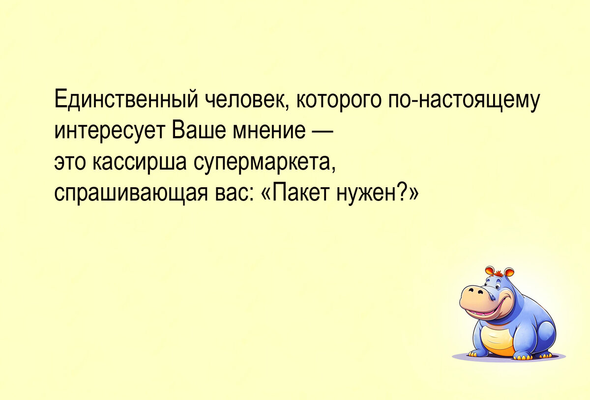 Изображение и текст автора