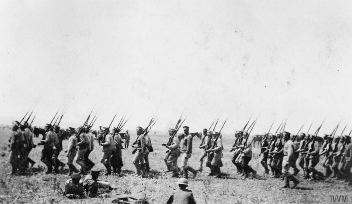 "Белые" на марше. 

